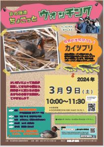  別ウィンドウで表示します