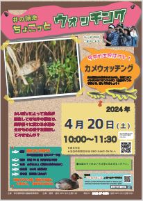 ちょこっとウォッチングのポスター（4月） 別ウィンドウで表示します