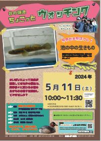 ちょこっとウォッチングのポスター（5月） 別ウィンドウで表示します