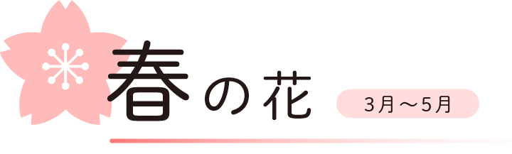春の花　3月から5月