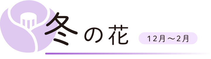 冬の花　12月から2月