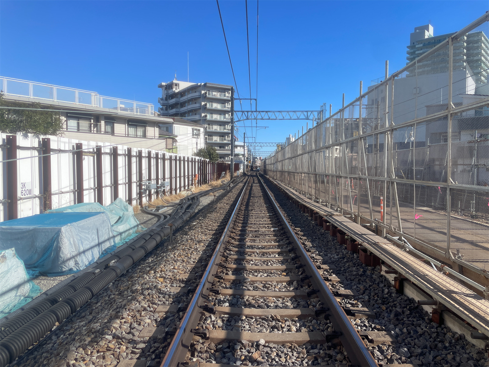 令和８年１月撮影