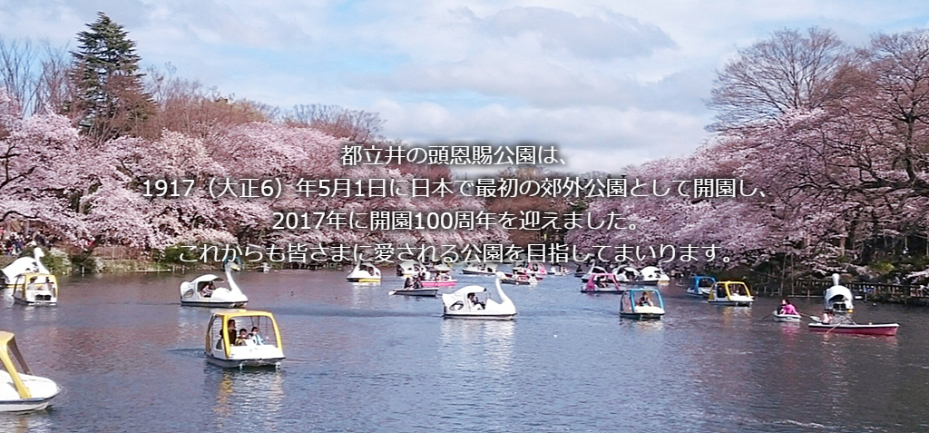 サンプル