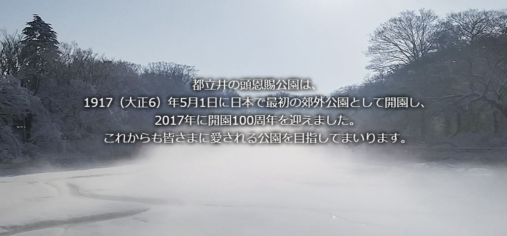 サンプル
