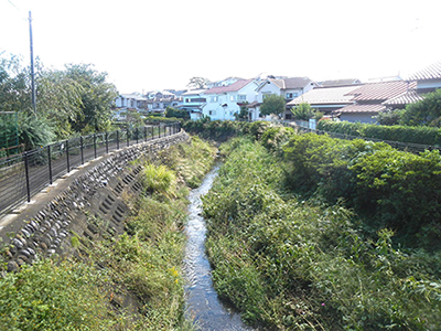 霞川