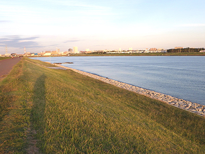 旧江戸川の河川敷の風景【360度写真による空間アーカイブ】 - 江戸川フォトライブラリー