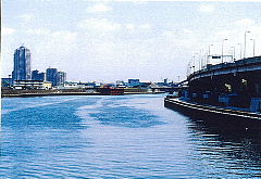 隅田川白鬚橋付近の写真